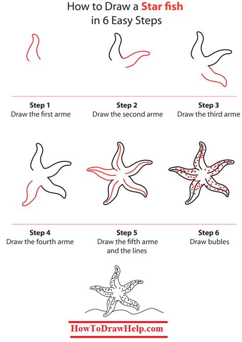 how to draw a star fish|How to draw a starfish .